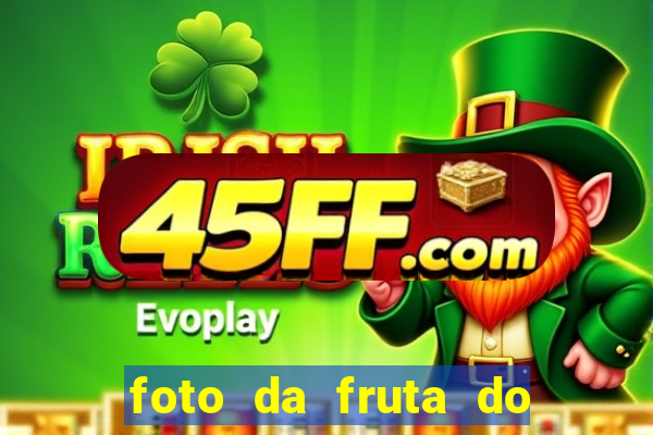 foto da fruta do blox fruits